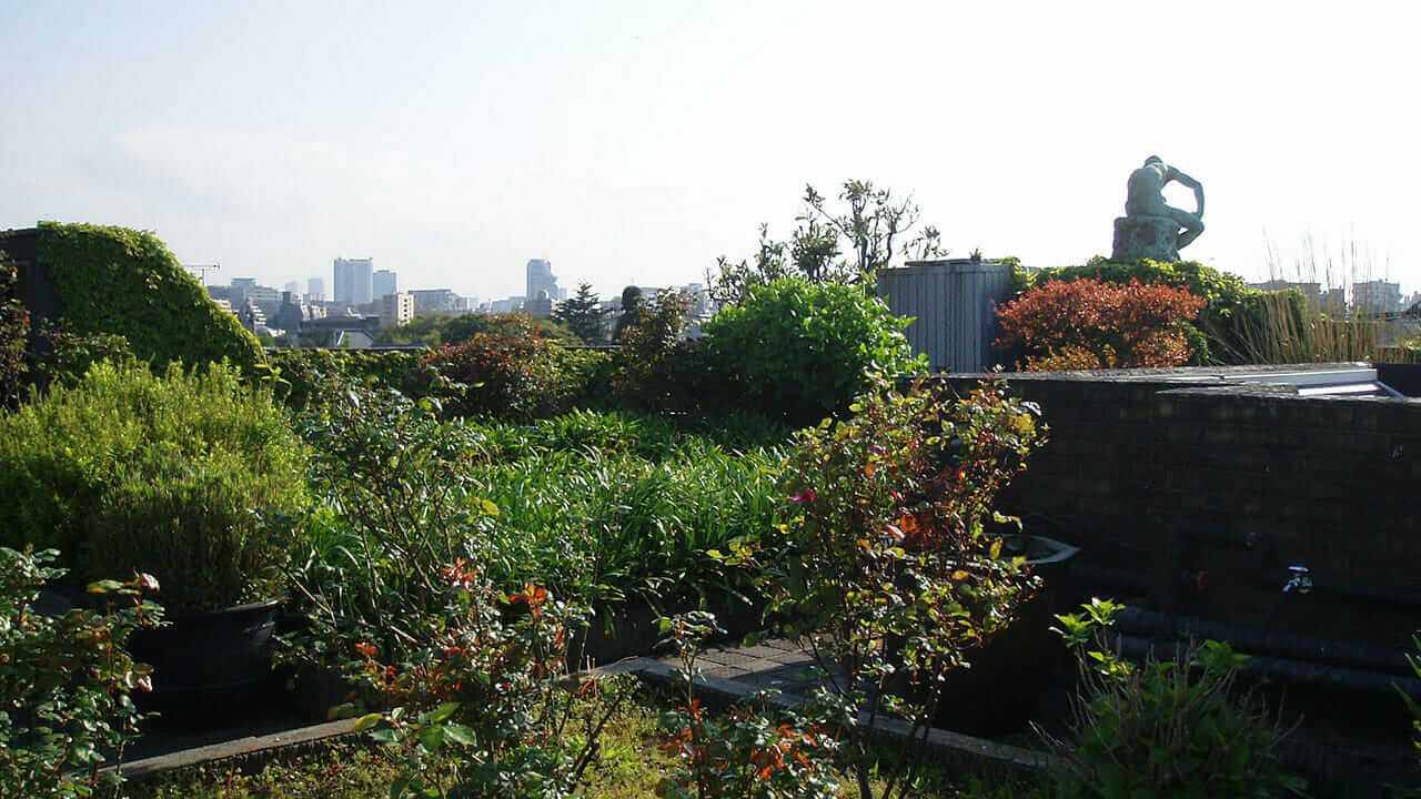 朝倉彫塑館の屋上｜谷中の美術館