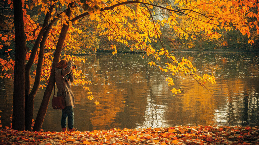 秋の湖で写真を撮る人