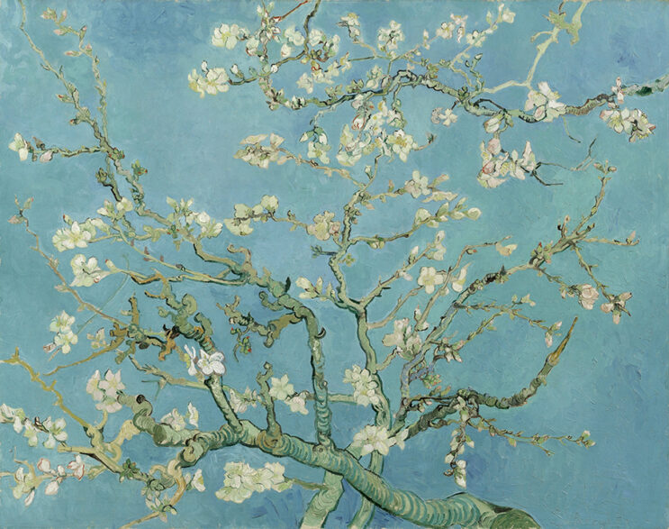 『花咲くアーモンドの木の枝』 (1890年)